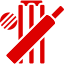 Allez Sportz cricket Category